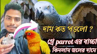 কিনে নিলাম আফ্রিকান গ্রে  দাম কি নিল  African gray parrot baby africangreyparrot [upl. by Oiramaj126]