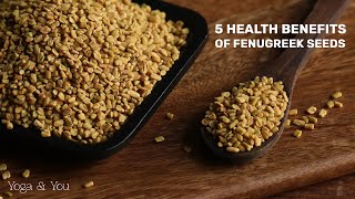 5 Surprising Health Benefits of Fenugreek Seeds  Secret Power of Fenugreek Seeds VentunoYoga [upl. by Sew]