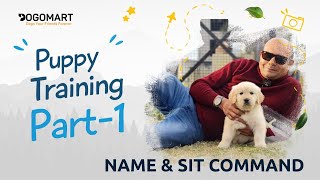 Puppy Training Part1 Name amp Sit Command  LIVE EXAMPLE  How to Teach in 1 Day Baadal Bhandaari [upl. by Yarw]