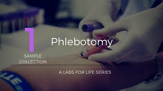 Phlebotomy [upl. by Swann475]