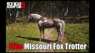 Getting the Missouri Fox Trotter [upl. by Sirad657]