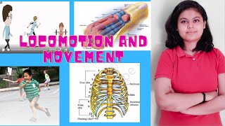 LOCOMOTION AND MOVEMENT LECTURE 5 [upl. by Asirb]