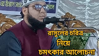 ⭐রাসুলের চরিত্র নিয়ে চমৎকার আলোচনা ❤️  Hafiz Mawalana Saifur Rahman Belali ZOKIGONJI 01787330450 [upl. by Sloan529]