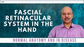 Anatomy of flexor retinaculum of hand  attachments and relations  in simplest and easiest way [upl. by Ahtelahs]