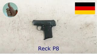 Reck P8 LA FuryChicago Cub 635 mm Browning 635x16 mmSR25 Auto [upl. by Lledrev]