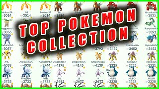 BRANDONTAN91S TOP POKEMON COLLECTION  Pokemon GO [upl. by Dodd318]