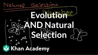 Introduction to Evolution and Natural Selection [upl. by Taran]