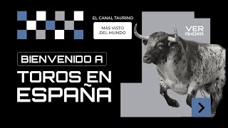 BIENVENIDO A TOROS EN ESPAÑA TV [upl. by Amzu163]