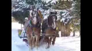 Sleigh ride on our farm with our Belgians [upl. by Phail]