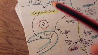 Lipoproteines HDL LDL vLDL Chylomicrons  Made Simple Algerian Dialect [upl. by Enier392]