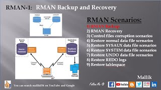 RMAN 1 Backup and Recovery  RMAN database amp Archivelog Backup  RMAN Level0 amp Level1 backup [upl. by Conrado822]