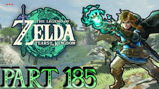 Coliseum Ruins  Zelda Tears of the Kingdom 100 Walkthrough Part 185 [upl. by Nahtanha513]