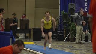 Dylan Ellsworth  Vault  2018 Winter Cup  Senior Prelims [upl. by Ecinnaj]