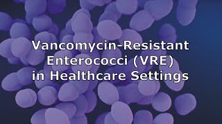 VancomycinResistant Enterococci VRE in Healthcare Settings [upl. by Rotberg412]