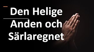 9 Den Helige Anden och Särlaregnet  Sebastian Matula Bönens dimensioner [upl. by Nace]