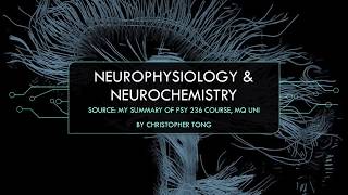 Neurophysiology amp Neurochemistry  Biopsychology [upl. by Bettye267]