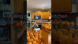 Filling My Parents Kitchen With Pumpkins [upl. by Bathesda]