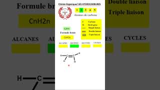 EXPLORATIONS DES HYDROCARBURES  UNE INTRODUCTION RAPIDE chimieorganique shortvideo hydrocarbon [upl. by Edyaw616]