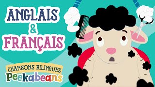 Baa baa mouton noir  BILINGÜE en Anglais et Français  Baa Baa Black Sheep  Peekabeans ♫ [upl. by Anawt]