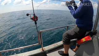 Takamitechnos MOZ623 Pulau Jarak [upl. by Ylatfen]