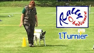 1 Turnier  Rally Obedience  HSV Exten eV 30072017 [upl. by Burkley894]