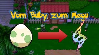 Vom Baby zum Mega  Tutorial  Pokémon Omega Rubin und Alpha Saphir ΩRαS [upl. by Chloras]