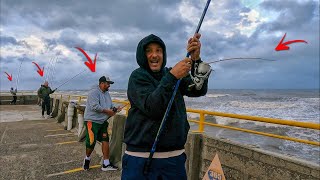 iNCRÍVEL ⚠️ PASSOU UM CARDUME TODO MUNDO FISGOU PEIXE NA MESMA HORA  Plataforma de Tramandaí RS [upl. by Nylarat]