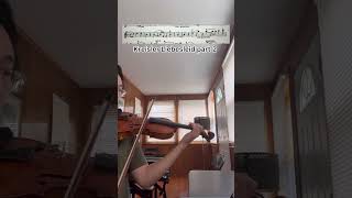 Kreisler Liebesleid violin violinmusic music violinist classicalmusic violinlife musicgenre [upl. by Llyrehc]