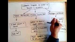 Polyuria polydipsia differential diagnose Diabetes mellitus diabetes insipidus psycho polydipsi [upl. by Samuele764]