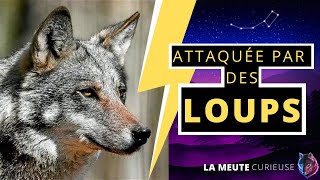 Une femme attaquée par des LOUPS au zoo de Thoiry [upl. by Hezekiah722]