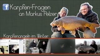 Karpfenangeln im Winter Die besten Tipps von Markus Pelzer [upl. by Eiromem]