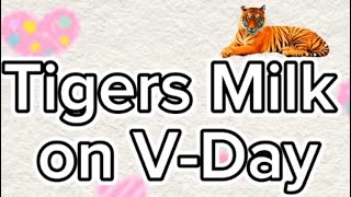 TIGER’S Milk on Valentine’s Day [upl. by Bove473]