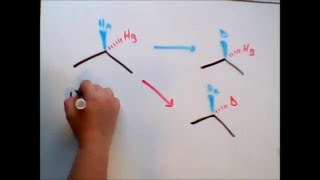 Topicity Homotopic Enantiotopic Diastereotopic [upl. by Eilrebma]