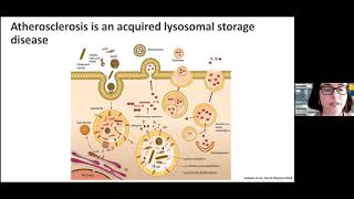 Cholesteryl hemiesters lysosome dysfunction and atherosclerosis  May 31 2021 [upl. by Jamaal757]