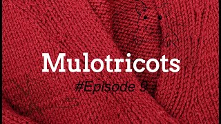 Mulotricots Episode 9 [upl. by Suk]