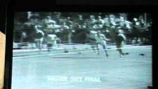 1971 Stawell Gift won by Treva McGregor [upl. by Alihet]