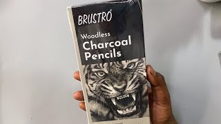 Worth Buying This Pencil 🤔 Woodless Charcoal Pencil [upl. by Fauch]