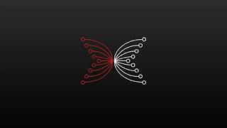 IOHK  IELE Testnet  Smart Contracts in IELE [upl. by Attenhoj]