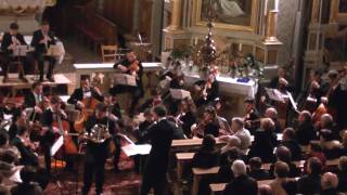 Haydn Horn concerto nr 1 First movement Alexander Perathoner [upl. by Bella536]