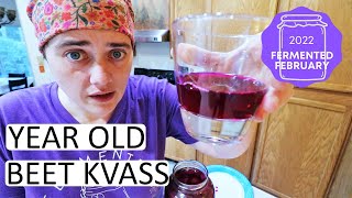 FERMENTED FEBRUARY Colab Fermenting Beet Kvass For the Absolute Beginner  Fermented Homestead [upl. by Trevor24]