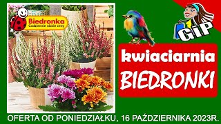 BIEDRONKA  Oferta Promocyjna od Poniedziałku 16102023  Kwiaciarnia Biedronki  Tanie Kwiaty [upl. by Yahs]