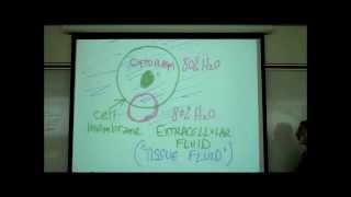 BIO LAB EXERCISE E SOLUTIONS CONCENTRATION DIFFUSION OSMOSIS amp TONICITY by Professor Fink [upl. by Cnut]