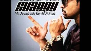 Shaggy  Mr Boombastic RemixDj Jflor ft Dj Jomar [upl. by Ellehcsor]