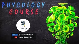 محاضرات كورس علم الطحالب Phycology  محاضرة 4 Euglenophyta and Xanthophyta [upl. by Sidalg66]