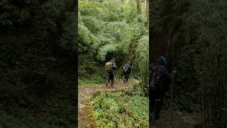 Trekking  Pindari glacier trek  Kafni glacier trek pindariglacier [upl. by Sualokcin]