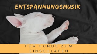 Entspannungsmusik für Hunde zum Einschlafen  Beruhigende Schlafmusik für Hunde [upl. by Lewie]