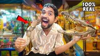 Eating Real Crocodile🥵कमज़ोर दिल वाले ना देखें  Thailand Food [upl. by Mohsen]