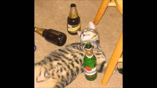 Irresponcible Alcoholic Cat Theme [upl. by Acinelav]