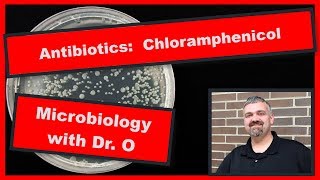 Chloramphenicol Mechanism of Action Animation  Pharmacology Chloramphenicol Mechanism [upl. by Dolph]