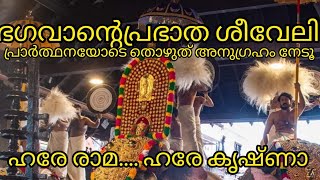 ഗുരുവായൂർ ക്ഷേത്രത്തിലെ ശീവേലിയും പ്രഭാത കാഴ്ചകളും  11082024  Guruvayur Temple Morning sheveli [upl. by Goerke]